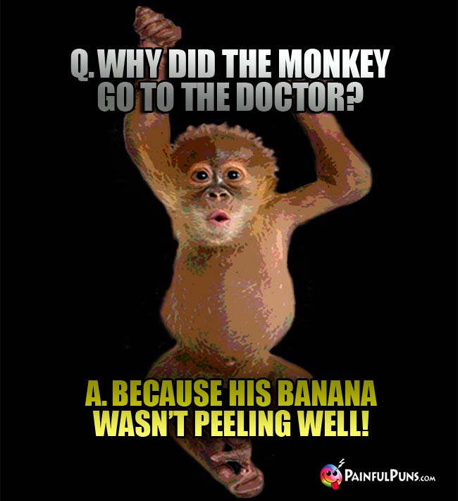 Q. Why did the monkey go to the doctor? A. Because his banana wasn't peeling well!