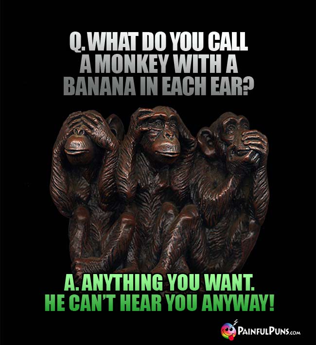 Q. What do you call a monkey with a banana in each ear? A. Anything you want. He can't hear you anyway!