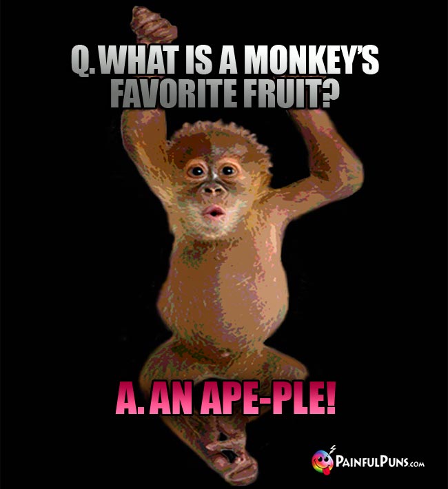 Q. What is a  monkey's favorite fruit? A. An Ape-ple!