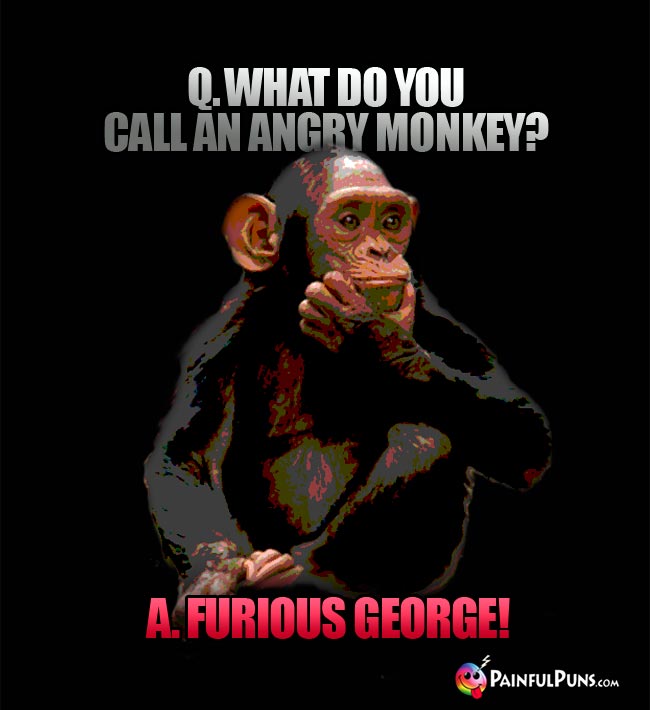 Q. What do you call an angry monkey? A. Furious George!