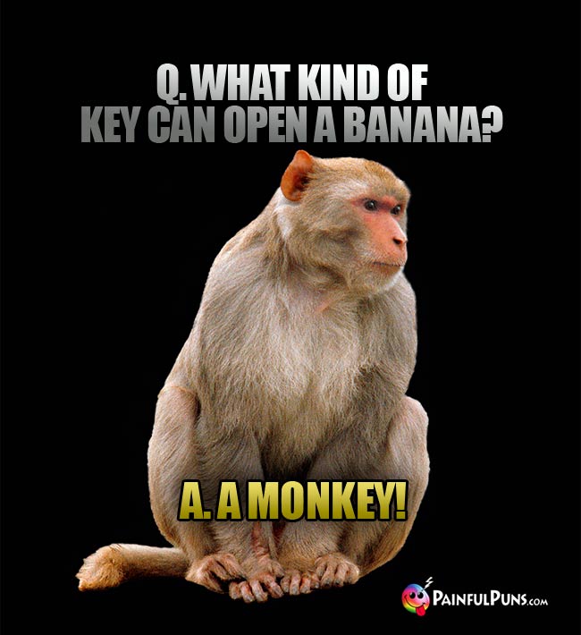 Q. What kind of key can open a banana? A. A Monkey!