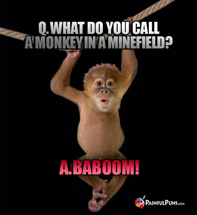 Q. What do you call a monkey in a minefield? A. Baboom!