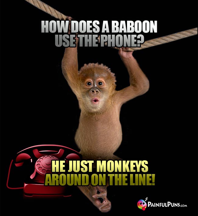 Q. How does a baboon use the phone? A. He just monkeys around on the line!