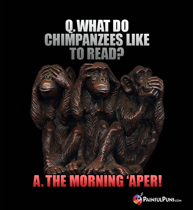 Q What do chimpanzes like to read? A. The morning 'aper!