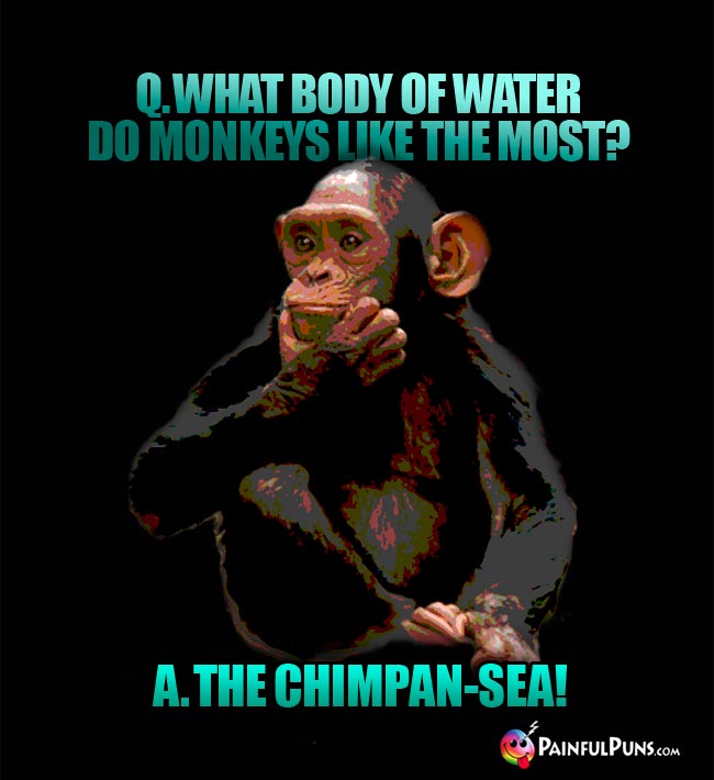 Q. What body of water do monkeys like the most? A. The Chimpan-Sea!