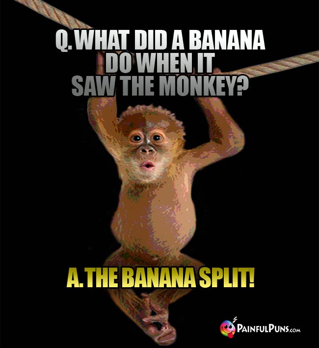 Q. What did a banana do when it saw the monkey? A. The banana split!