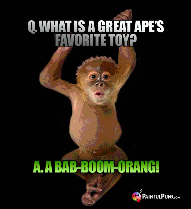 Q. What is a great ape's favorite toy? A. a Bab-Boom-Orang!