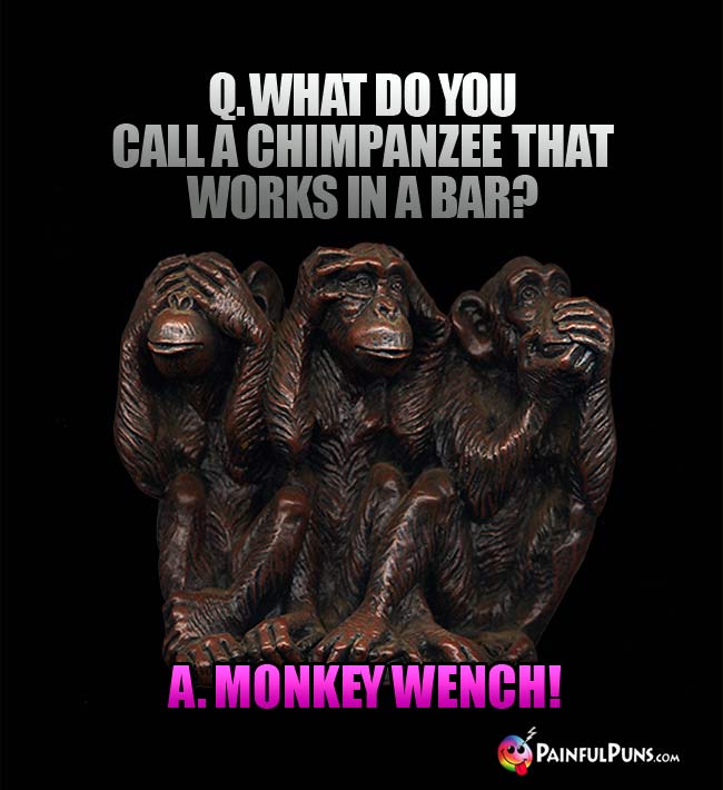 Q. What do you call a chimpanzee that works in a bar? A. Monkey wench!