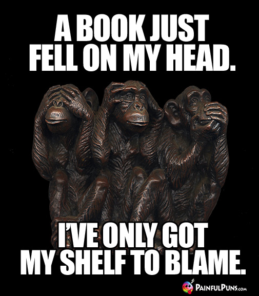Groaner: A Book Just Fell On My Head. I've Only Got My Shelf To Blame.