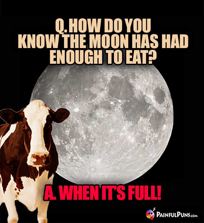 Q. How do you now the moon has had enough to eat? A. When it's full!