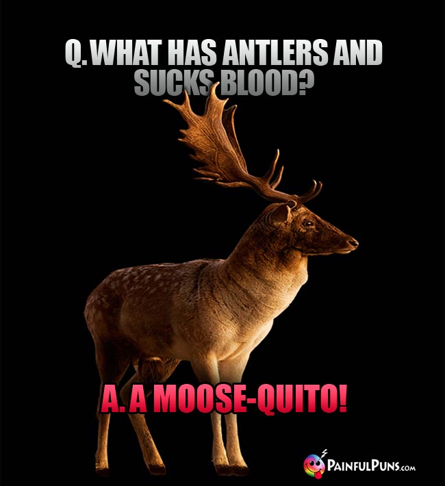 Q. What has antlers and sucks blood? A. A Moose-Quito!