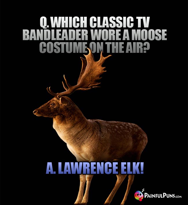Q. Which classic TV bandleader wore a moose costume on the air? A. Lawrence Elk!