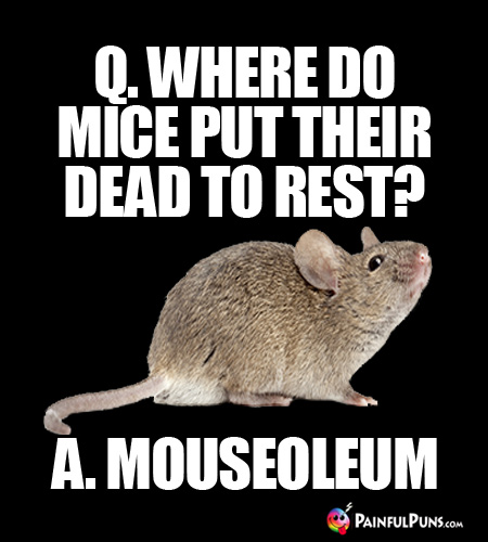 Q. Where do mice put their dead to rest? A. Mouseoleum
