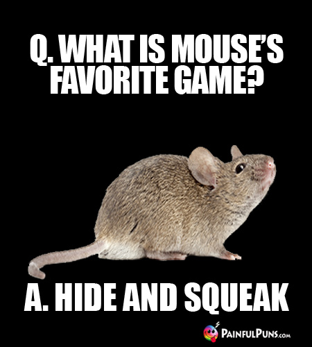 Q. What is a mouse's favorite game? A. Hide and Squeak