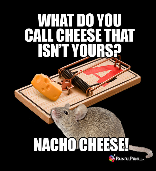 What do you call cheese that isn't yours? Nacho Cheese!