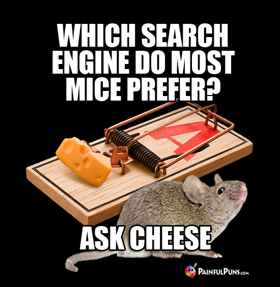 Which search engine do most mice prefer? Ask Cheese