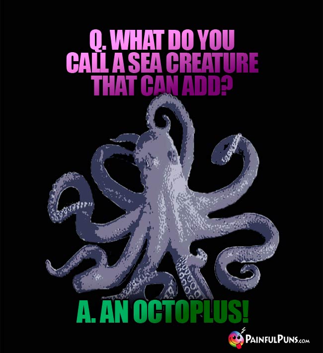 Q. What do you call a sea creature that can add? A. An Octoplus!