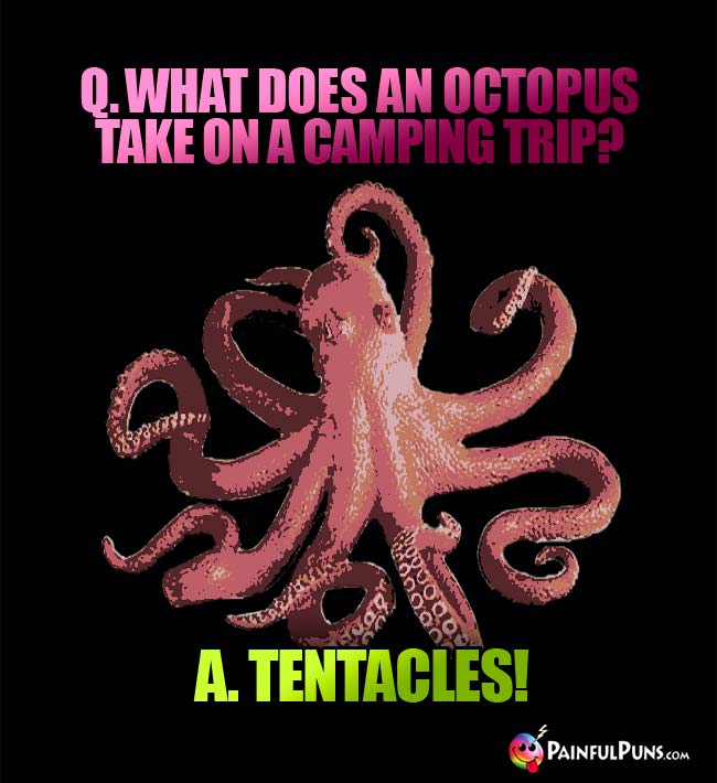 Q. What does an octopus take on a camping trip? A. Tentacles!