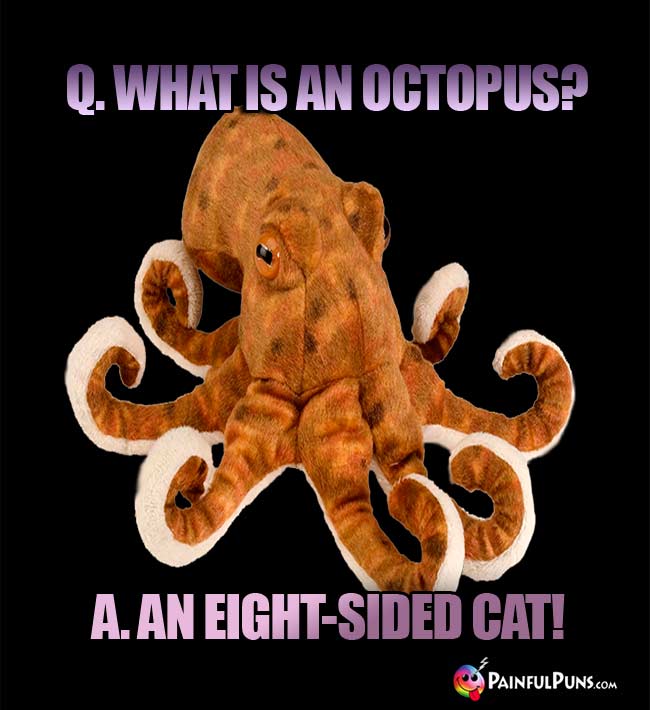 Q. What is an octopus? A. An eight-sided cat!