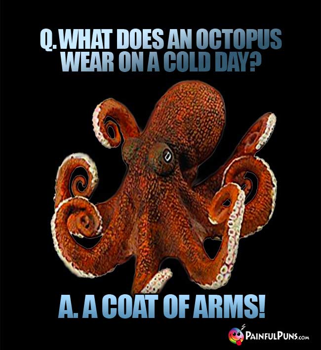 Q. What does an octopus wear on a cold day? A. A coat of arms!