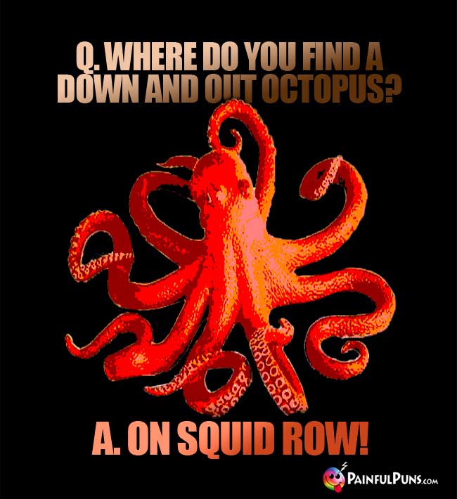 Q. Where do you find a down and out octopus? A. On Squid Row!