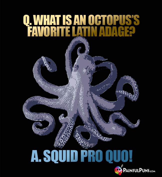 Q. what is an octopus's favorite Latin adage? A. Squid ProQuo!