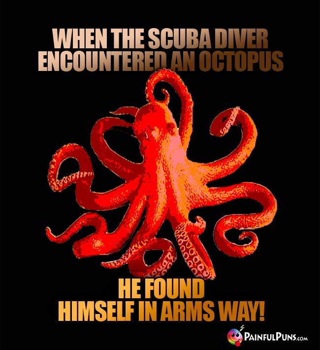 When the scuba diver encountered an octopus, he found himself in arms way!