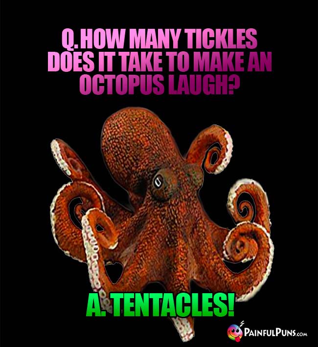 Q. How many tickles does it take to make an octopus laugh? A. Tentackles!