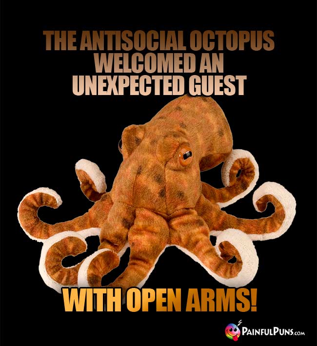 The antisocial octopus welcomed an unexpected guest with open arms!