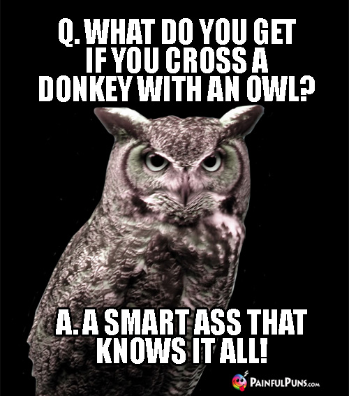 Q. What Do You Get If You Cross a Donkey with an Owl? A. A Smart Ass That Knows It All!