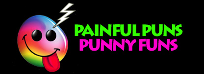 Painful Puns, Punny Funs