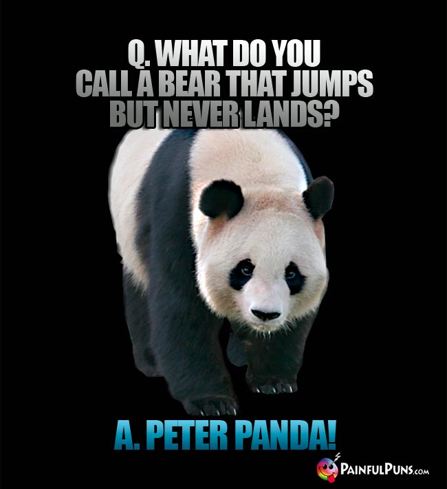 Q. What do you call a bear that jumps but never lands? A. Peter Panda!