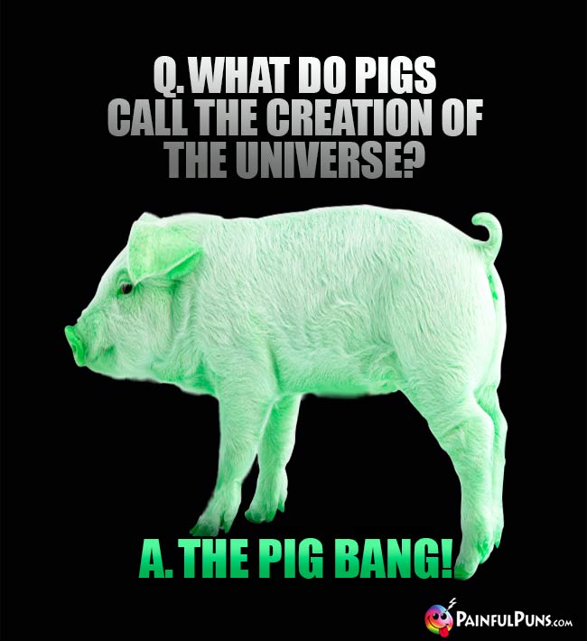 Q. What do pigs call the creatoin of the universe A. The Pig Bang!