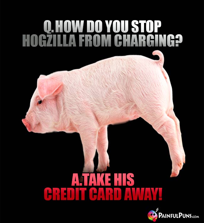 Q. How do you stop Hogzilla from charging? A. Take his credit card away!
