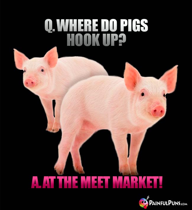 Q. Where do pigs hook up? A. At the meet market!