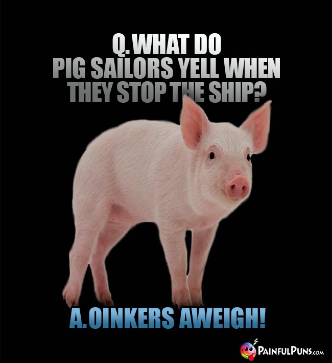 Q. What do pig sailors yell when they stop the ship? A. Oinkers Aweigh!