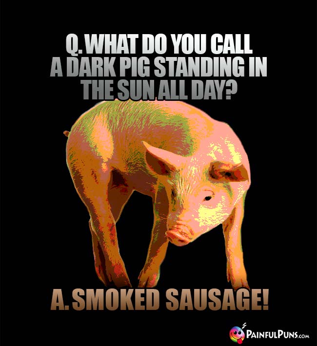 Q. What do you call a dark pig standing in the sun all day? A. Smoked sausage!