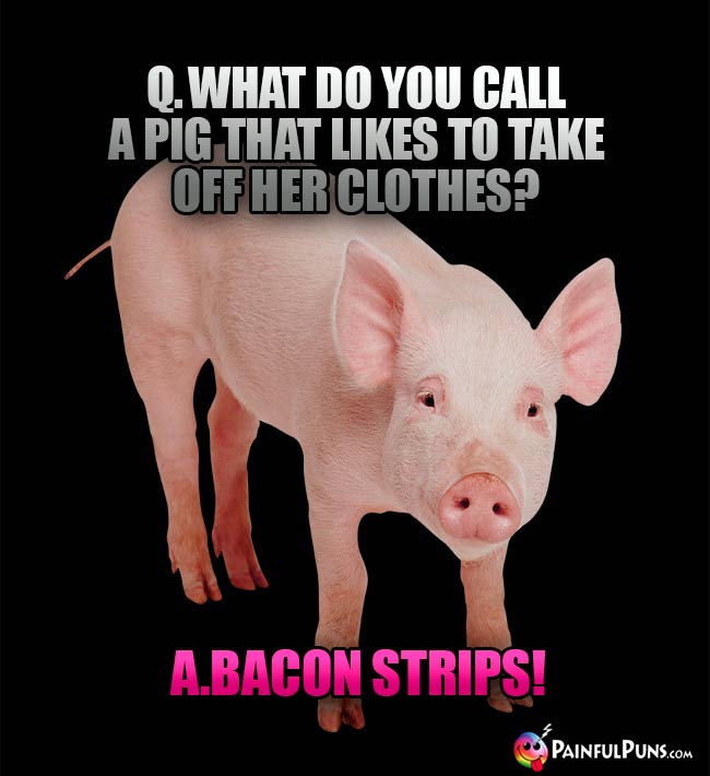 Q. What do you call a pig that likes to take off her clothes? A. Bacon Strips!