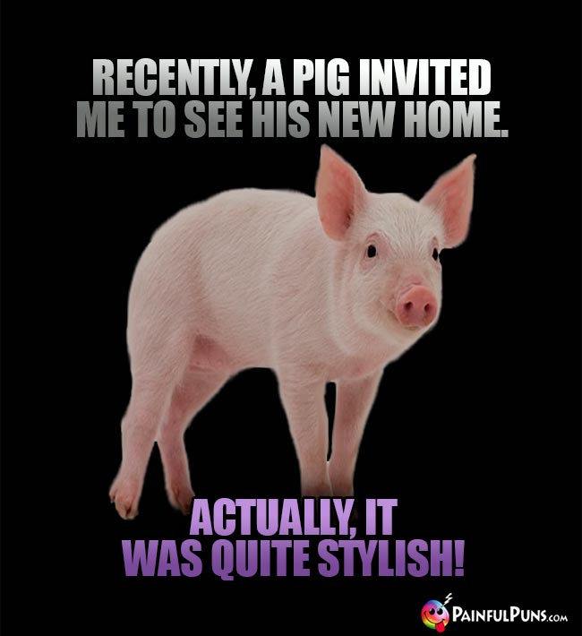 Recently, a pig invited me to see his new home. Actually, it was quite stylish!