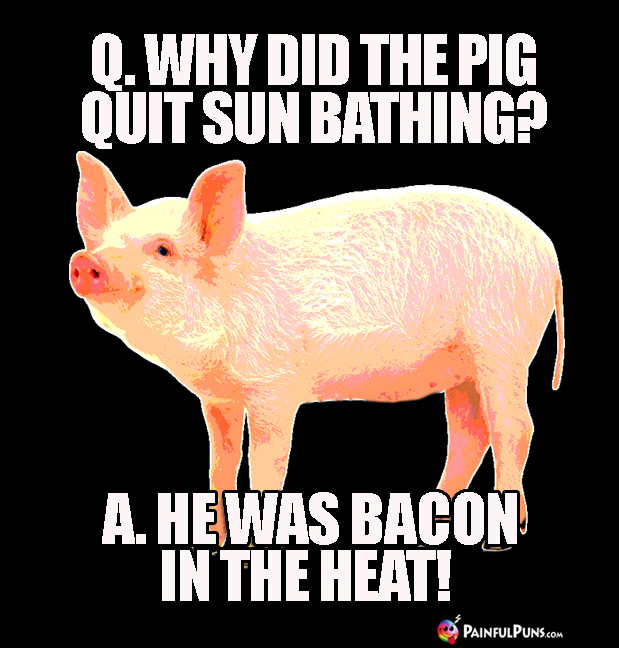 Q. Why did the pig quit sun bathing? A. He was bacon in the heat!