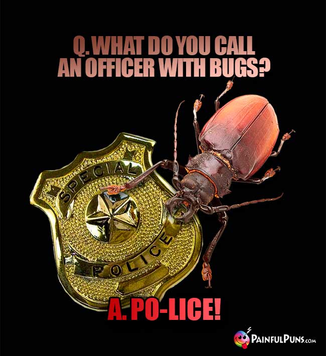 Q. what do you call an officer with bugs? A. Po-Lice!