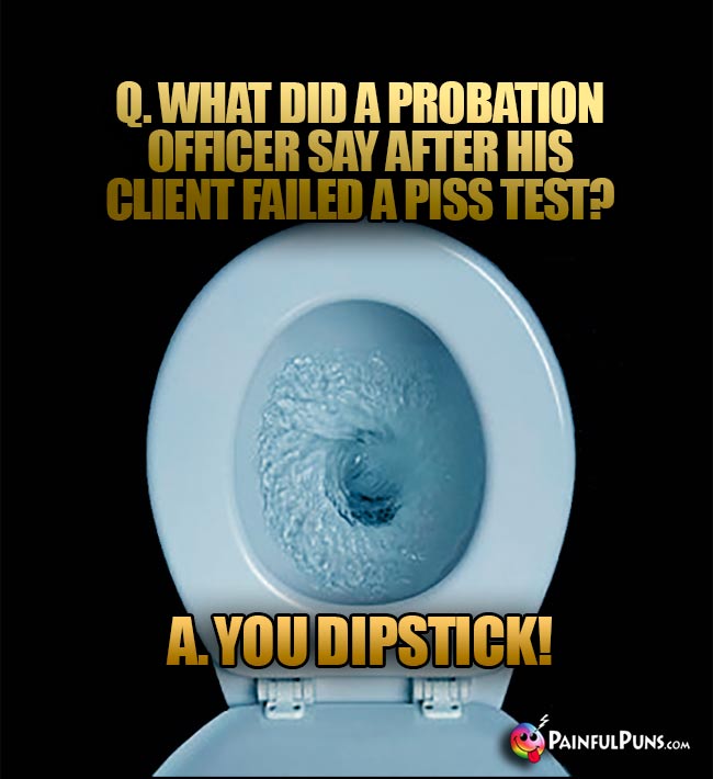 Q. What did a probation officer say after his client failed a piss test? A. You dipstick!