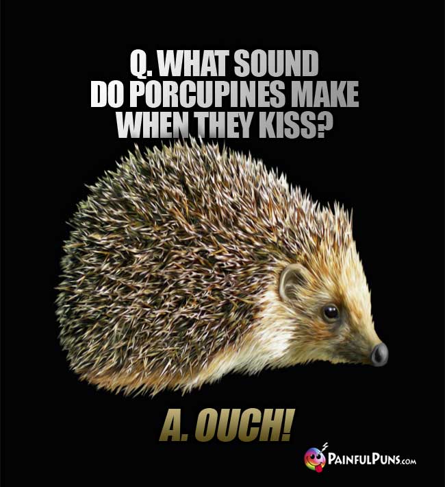 Q. What sound do porcupines make when they kiss? A. OUCH!