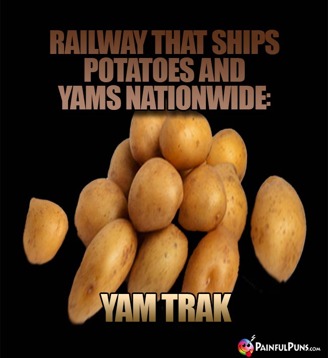 Railway that ships potatoes and yams nation wide: Yam Trak