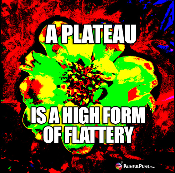 A Plateau is a High Form of Flattery