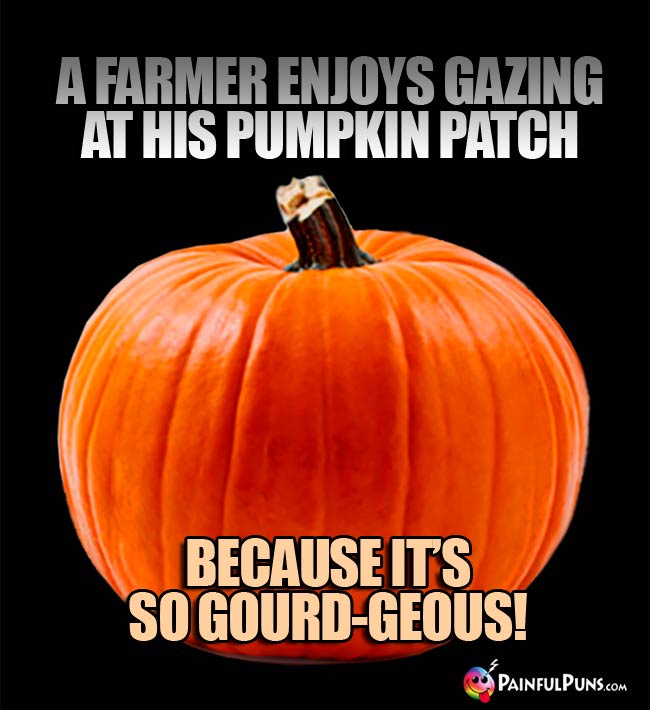 A farmer enjoys gazing at his pumkin patch becuase it's so gourd-geous!