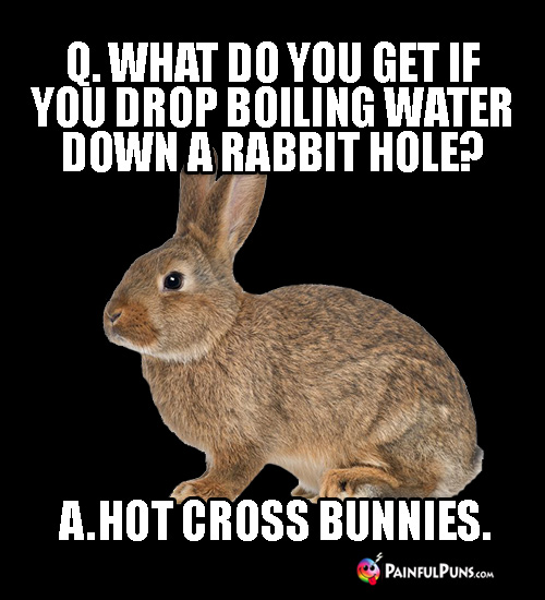 Q. What do you get if you drop boiling water down a rabbit hole? A. Hot Cross Bunnies