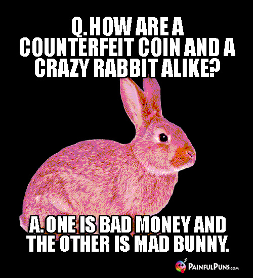 Q. How are a counterfeit coin and a crazy rabbit alike? A. One is bad money and the other is mad bunny.