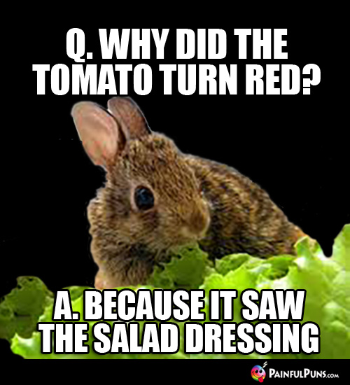 Q. Why did the tomato turn red? A. Because it saw the the salad dressing.