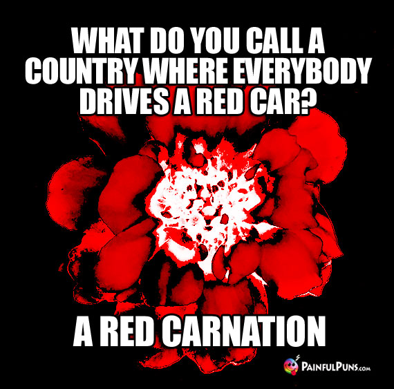 What do you call a country where everybody drives a red car? A red carnation.